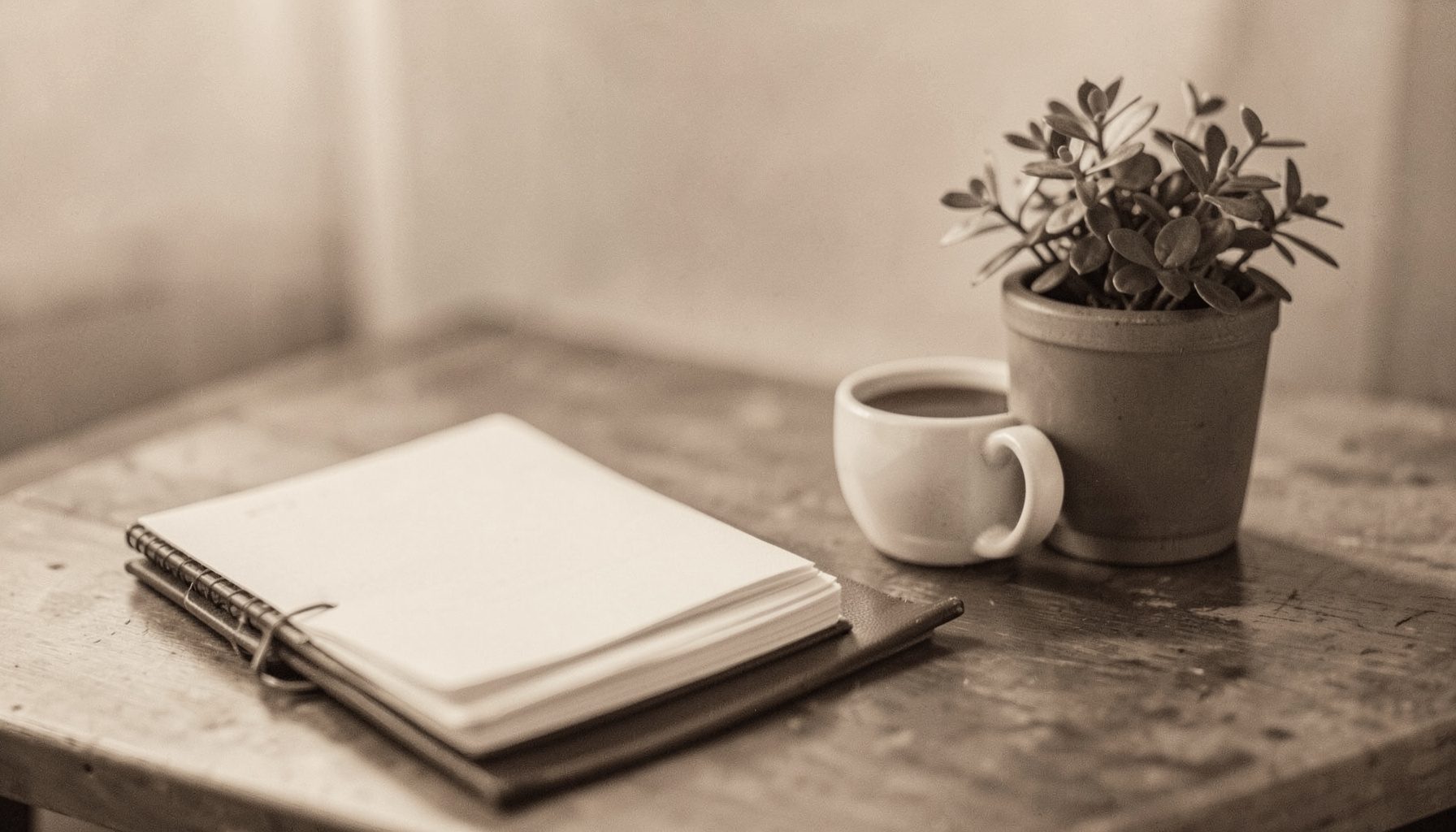 A warm duotone photograph of a calm, softly lit workspace with a notebook, a cup of tea, and a small potted plant